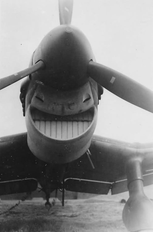 Немецкий пикирующий бомбардировщик Ju-87.